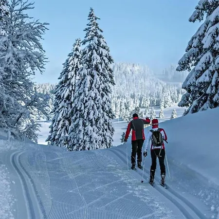 Apartment Near The Ski Lift شقة