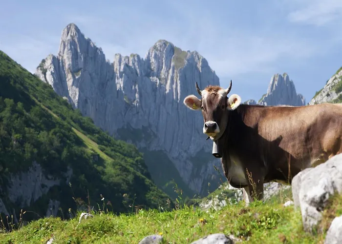 In By Lift 라 초우마츠