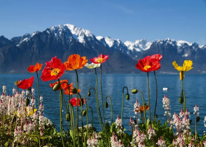 In By Lift * 라 초우마츠