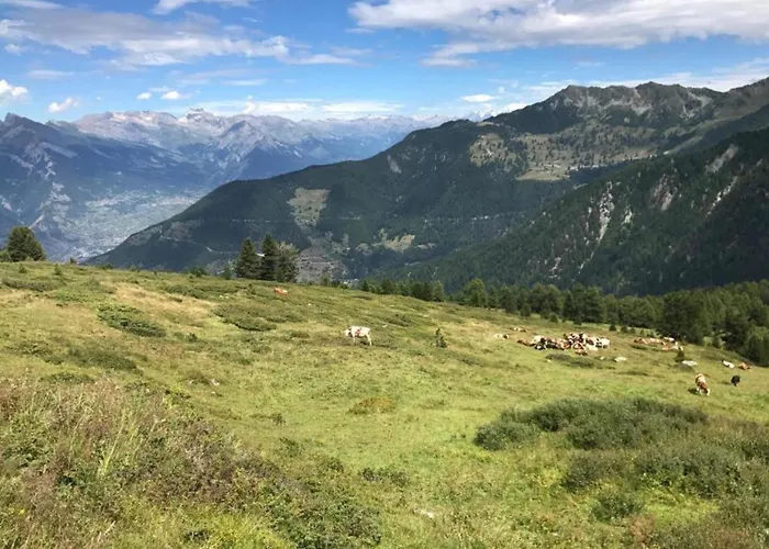 In By Lift 아파트